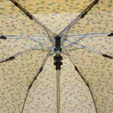 Armação Guarda-chuva